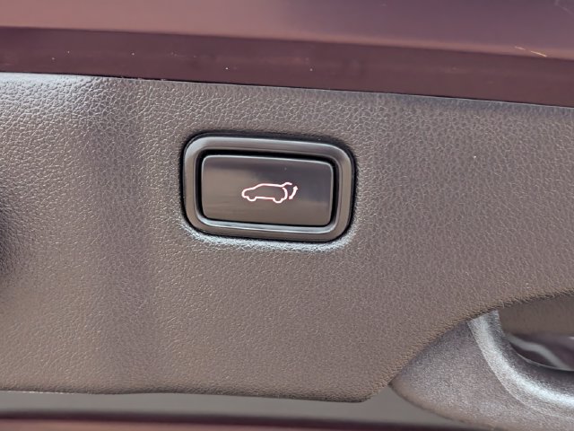 Used 2018 Kia Sedona SX Limited FWD image 19
