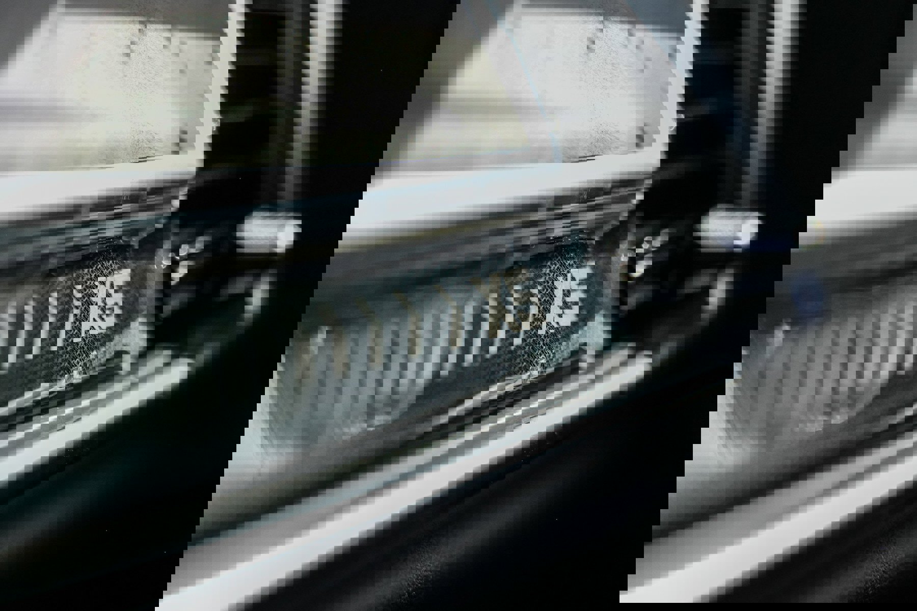 New 2026 BMW X5 xDrive40i image 15