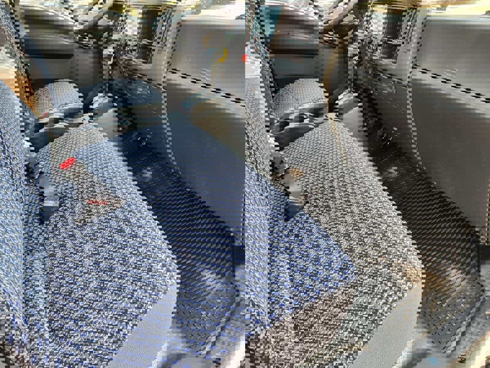 New 2025 Chevrolet Low Cab Forward 5500XG image 30