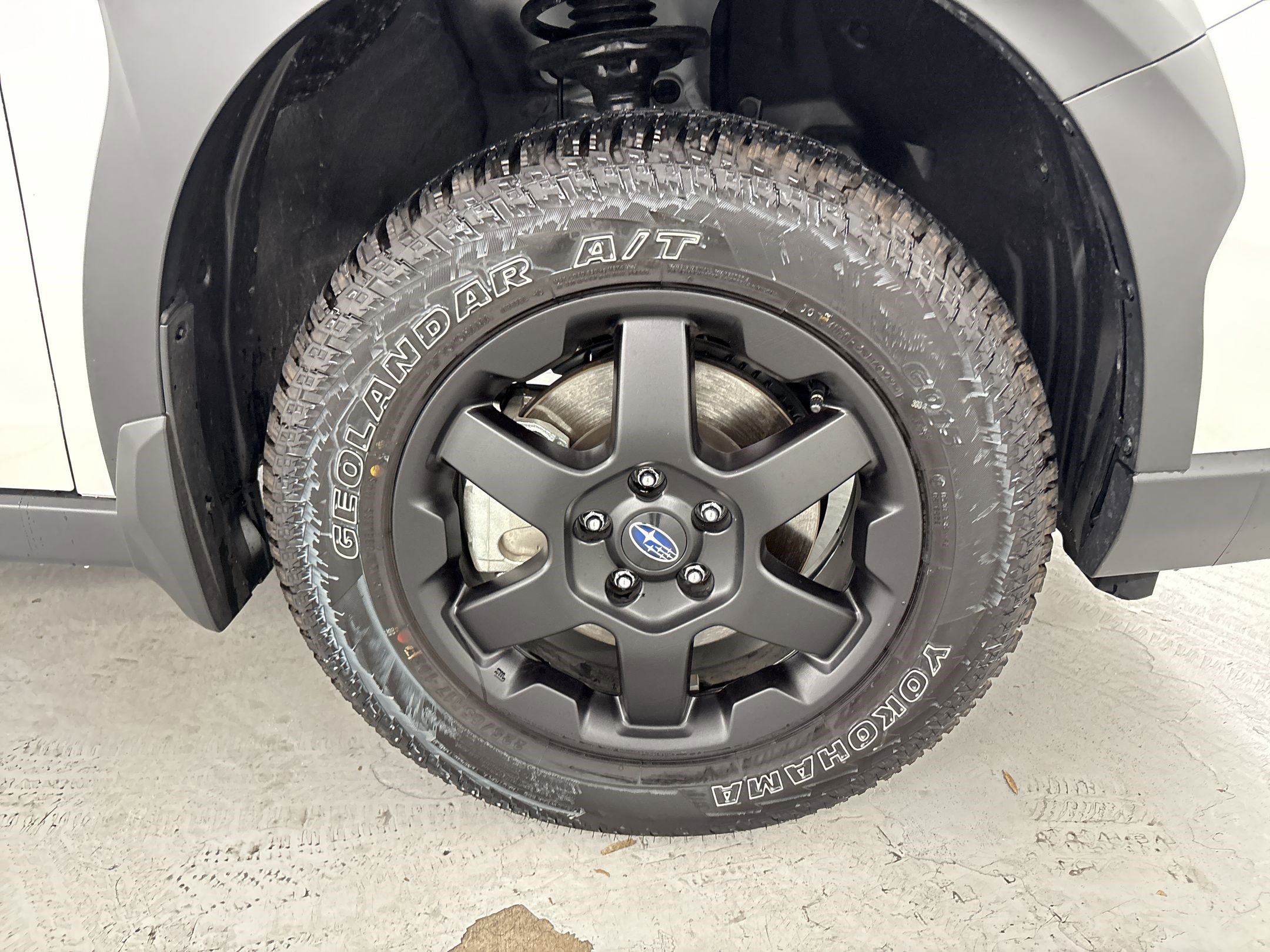 Used 2025 Subaru Outback Wilderness w/ Wilderness Package AWD/4WD image 12