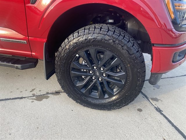 New 2025 Ford F150 XLT w/ Equipment Group 302A MID image 15