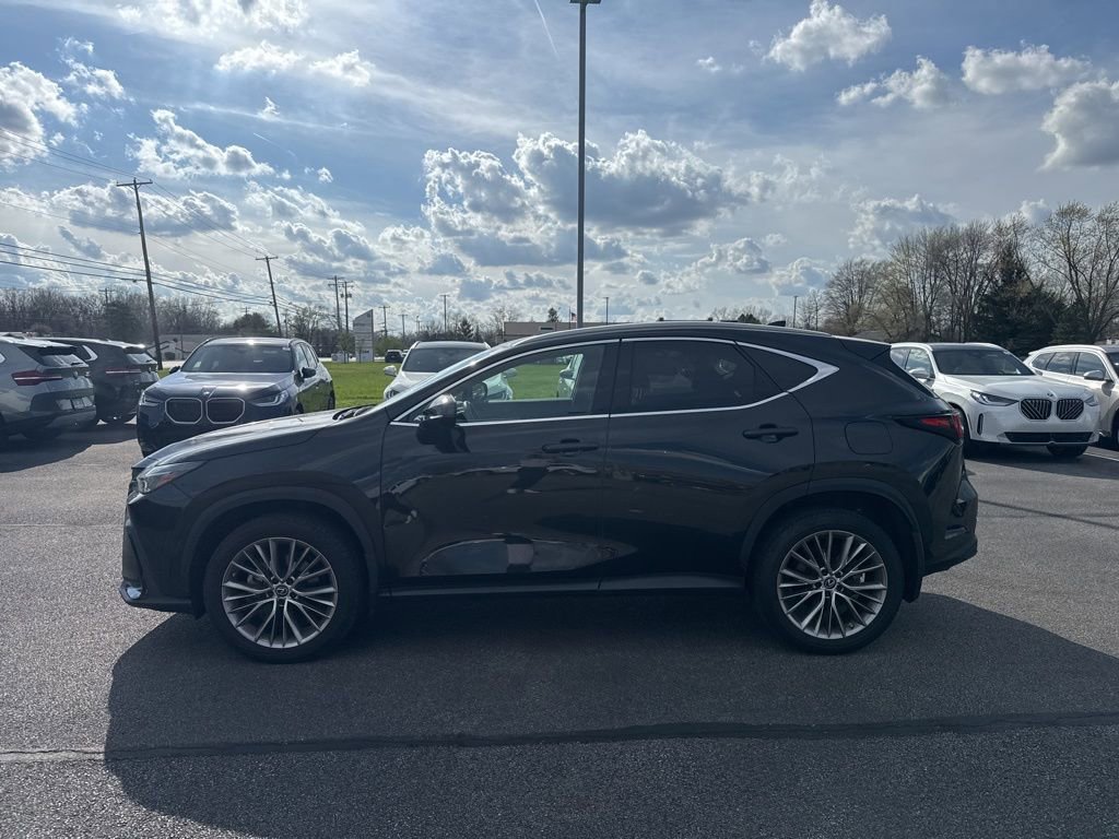 Used 2023 Lexus NX 350 AWD w/ Cold Area Package image 4