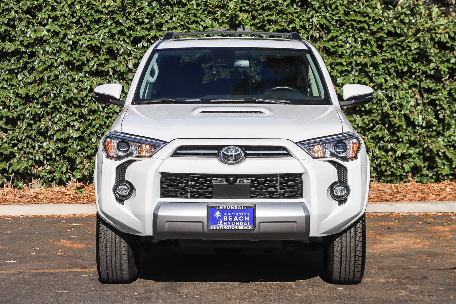 Used 2024 Toyota 4Runner TRD Off-Road Premium w/ Off Road Premium Plus Package AWD/4WD image 2