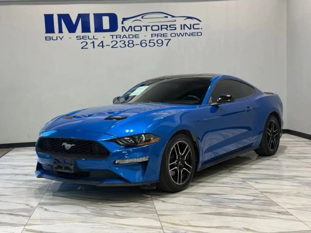Used 2019 Ford Mustang EcoBoost w/ Equipment Group 101A image 1