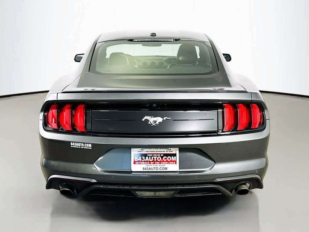 Used 2019 Ford Mustang Premium w/ Equipment Group 201A image 6