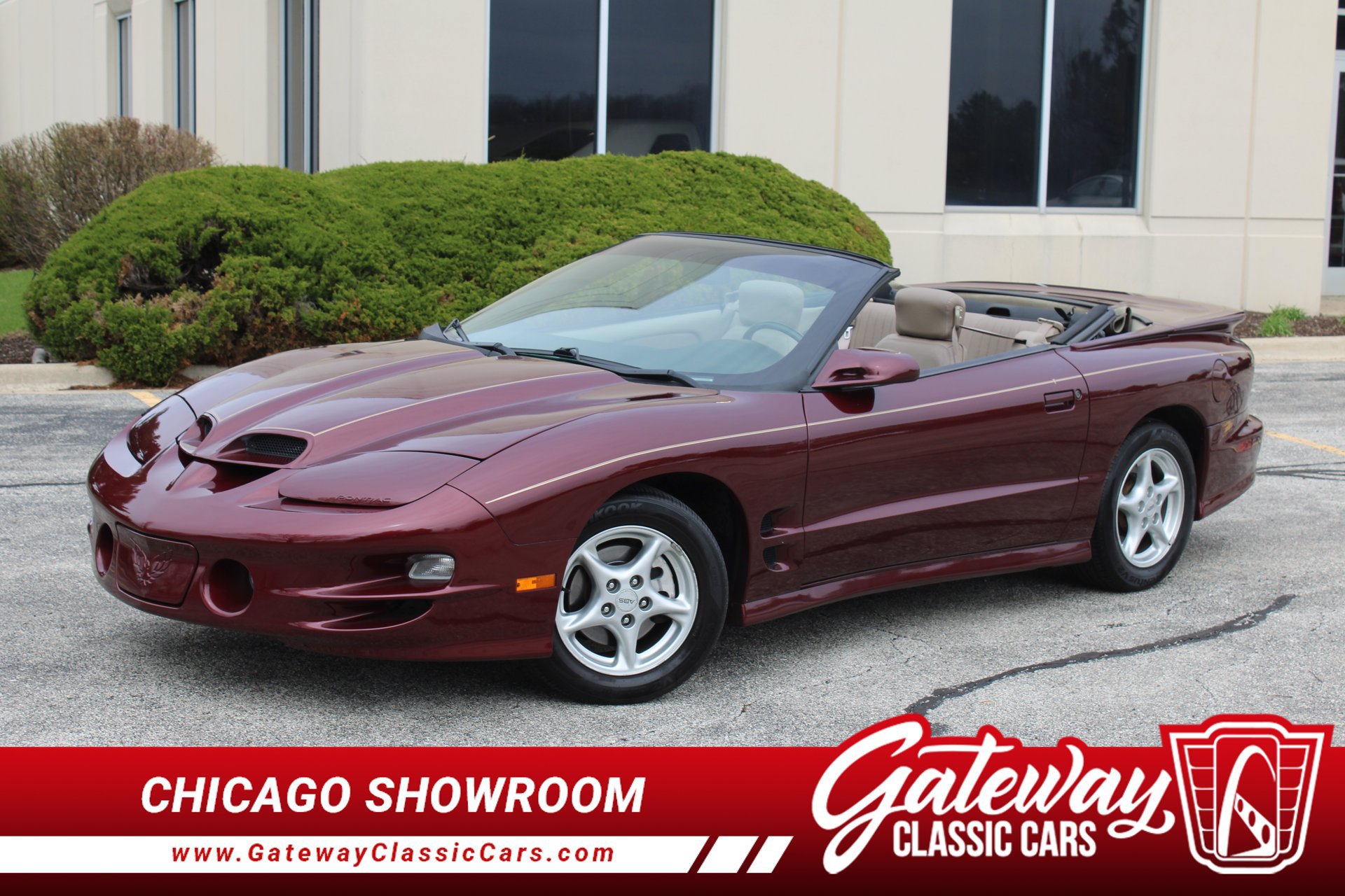 Used 2000 Pontiac Firebird Trans Am