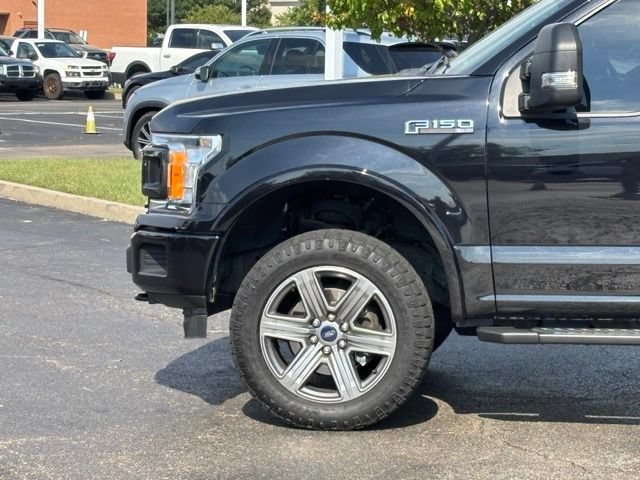Used 2019 Ford F150 XLT w/ Equipment Group 302A Luxury AWD/4WD image 6
