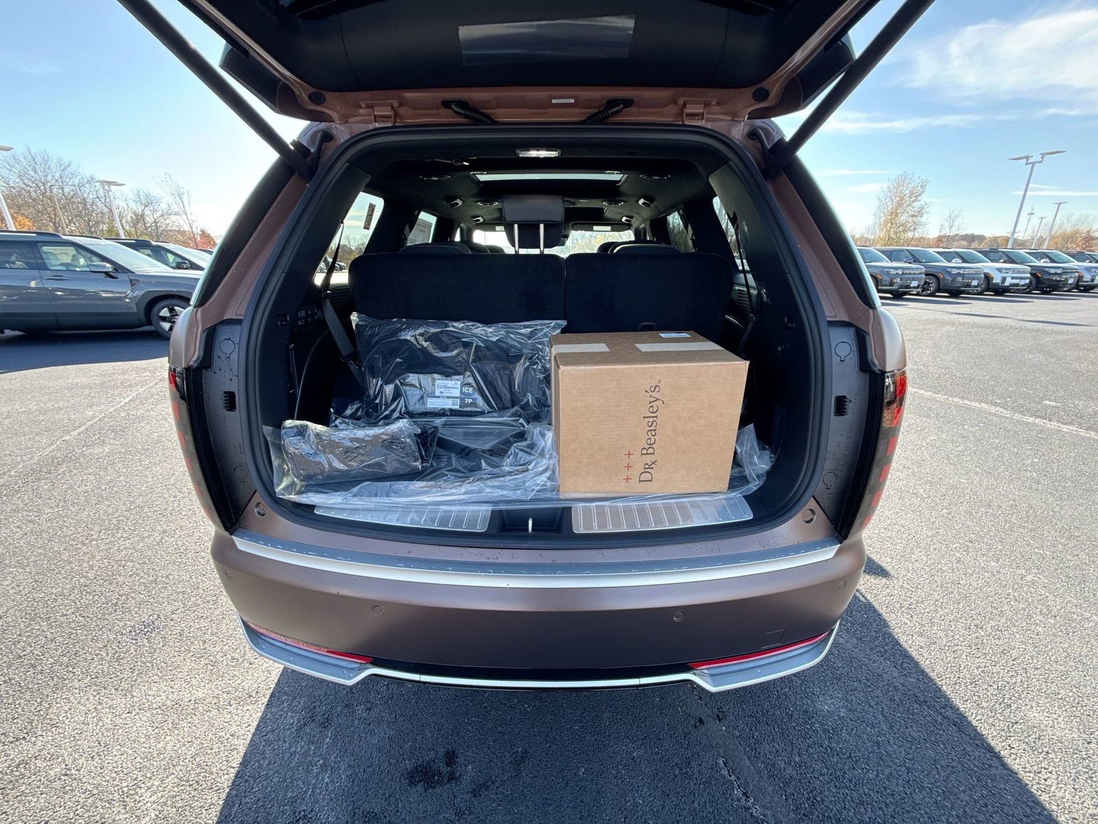 New 2026 Hyundai Palisade Calligraphy image 27