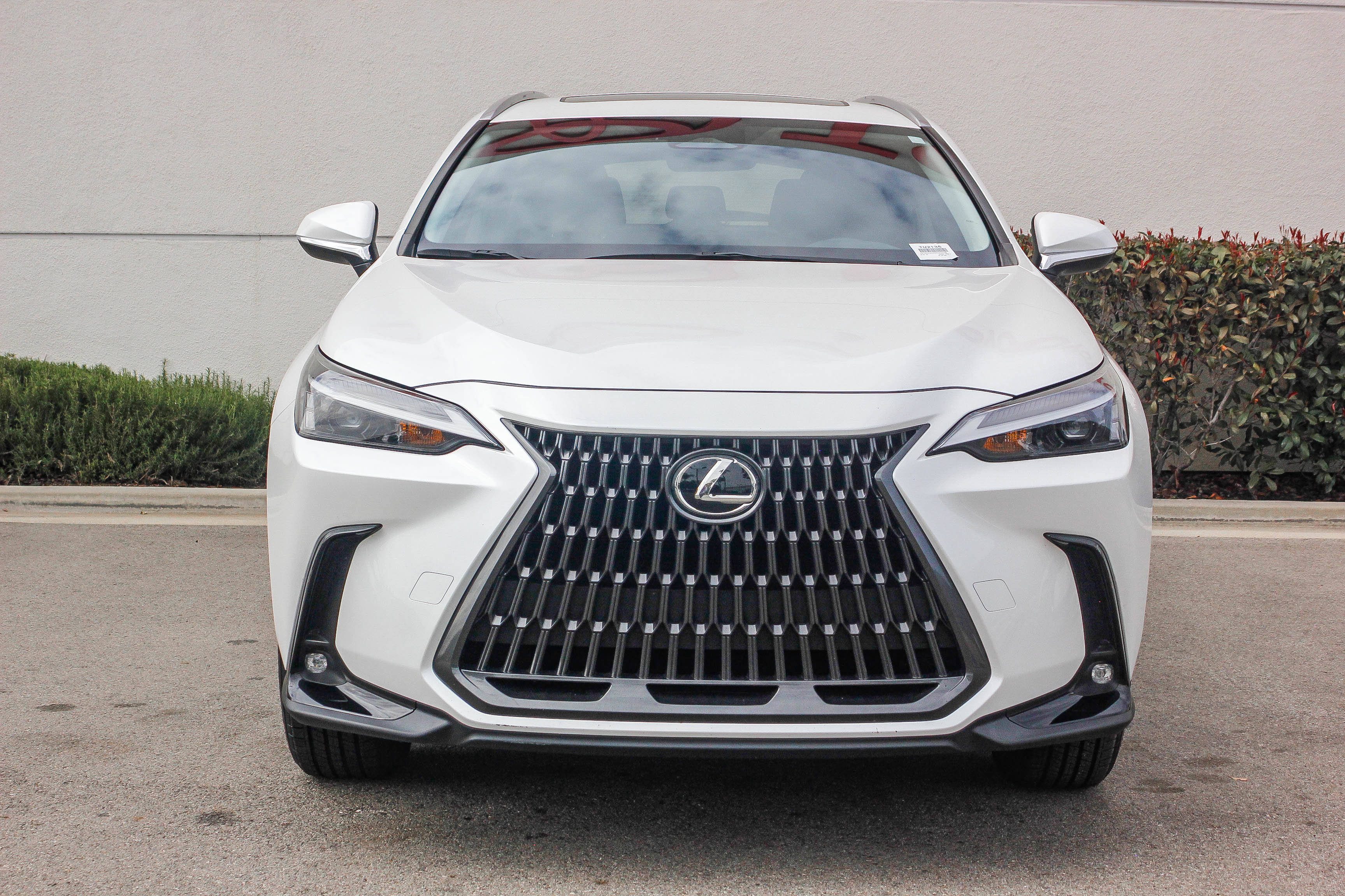 Used 2024 Lexus NX 350 AWD w/ Cold Area Package image 2