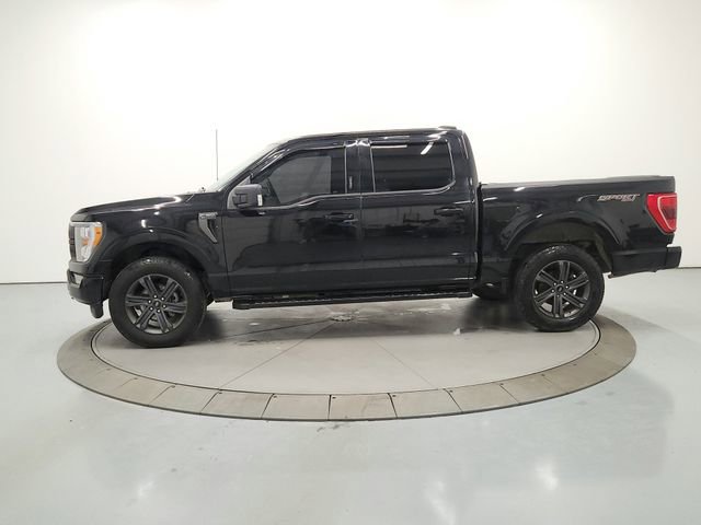 Used 2023 Ford F150 XLT w/ Equipment Group 302A High image 4