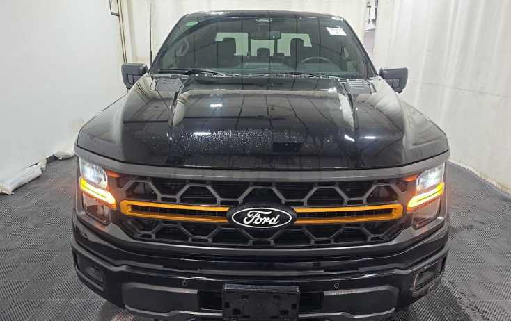 Used 2025 Ford F150 Tremor w/ Tow/Haul Package AWD/4WD image 4