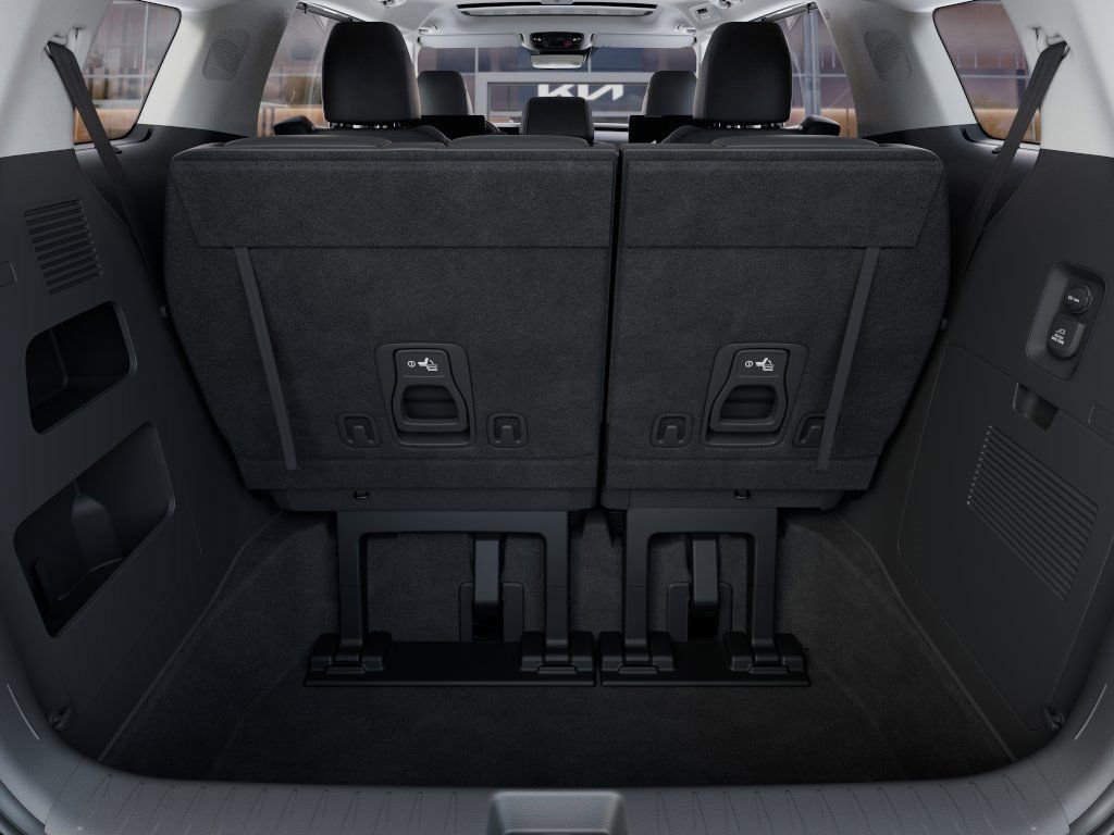 New 2025 Kia Carnival SX image 19