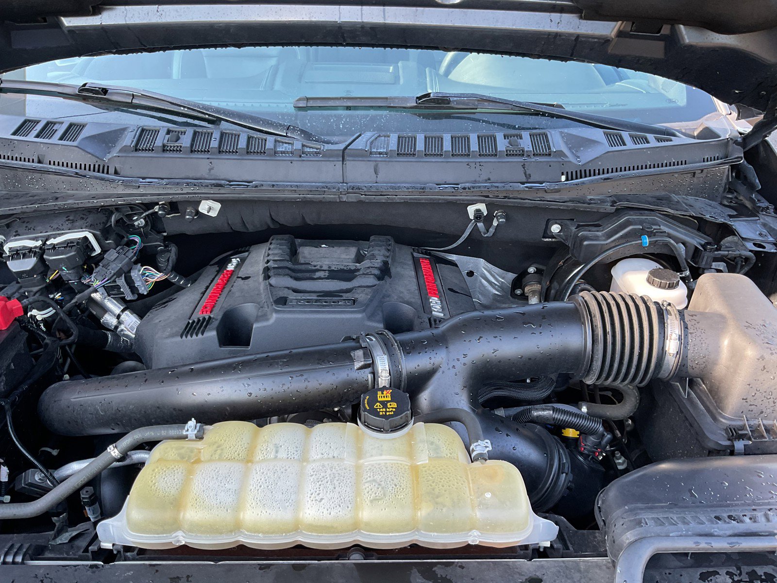 Used 2020 Ford F150 Raptor w/ Equipment Group 802A Luxury image 46