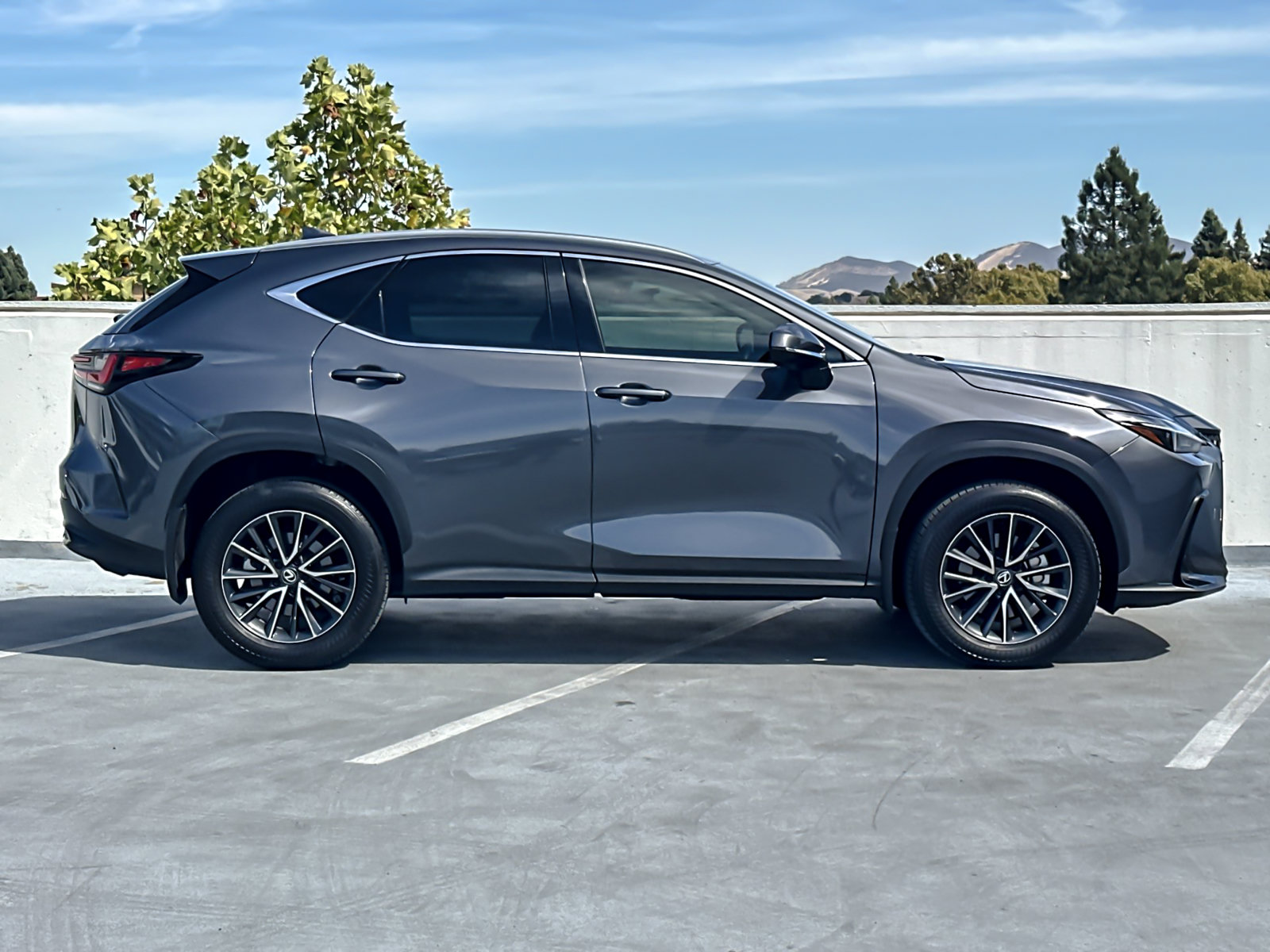 Used 2024 Lexus NX 250 AWD w/ Cold Area Package image 10