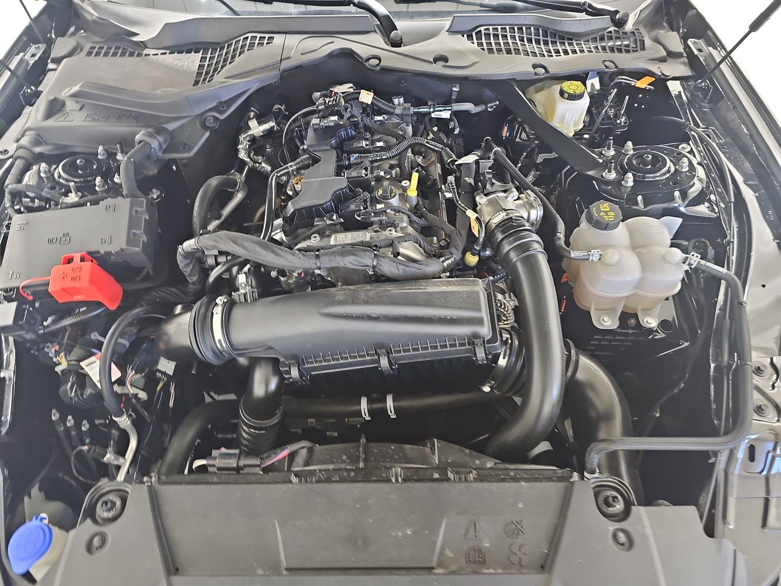 Certified 2024 Ford Mustang Premium image 27