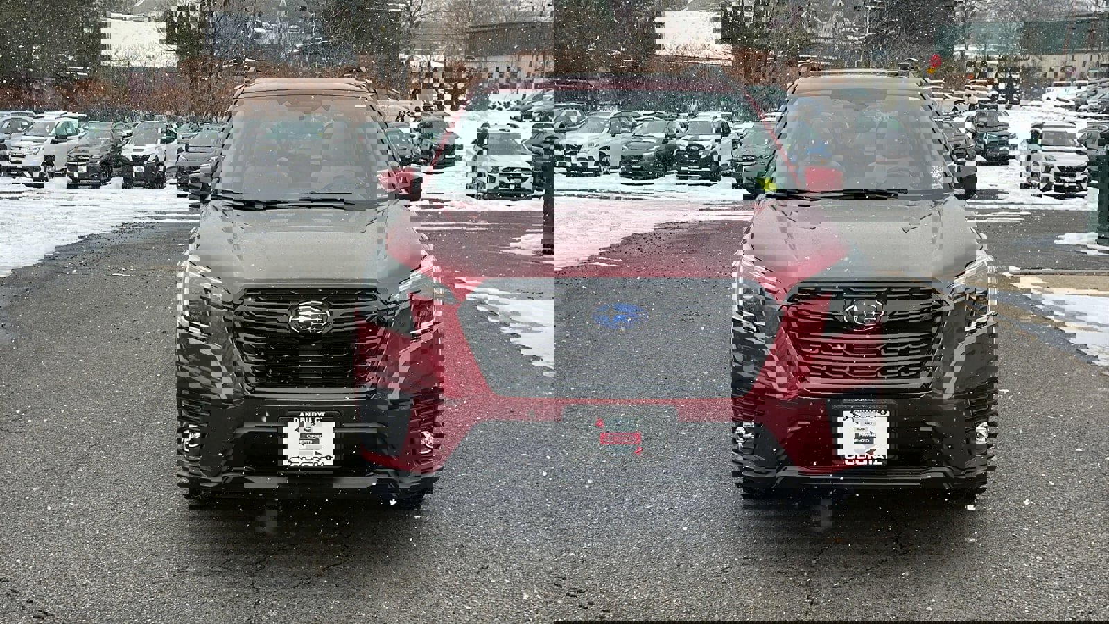 Used 2024 Subaru Forester Premium image 4