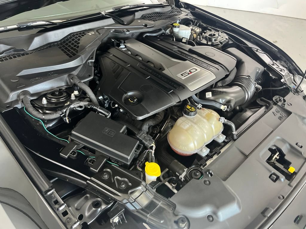 Used 2019 Ford Mustang GT w/ Equipment Group 301A RWD image 11