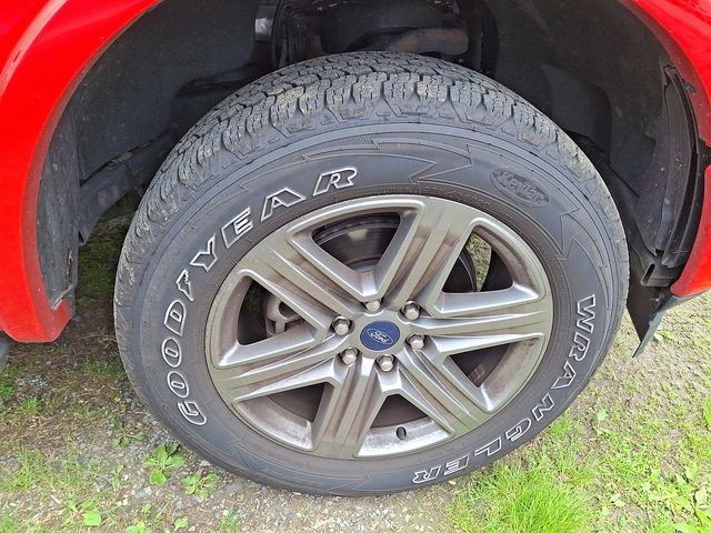 Used 2019 Ford F150 XLT w/ Equipment Group 302A Luxury AWD/4WD image 10
