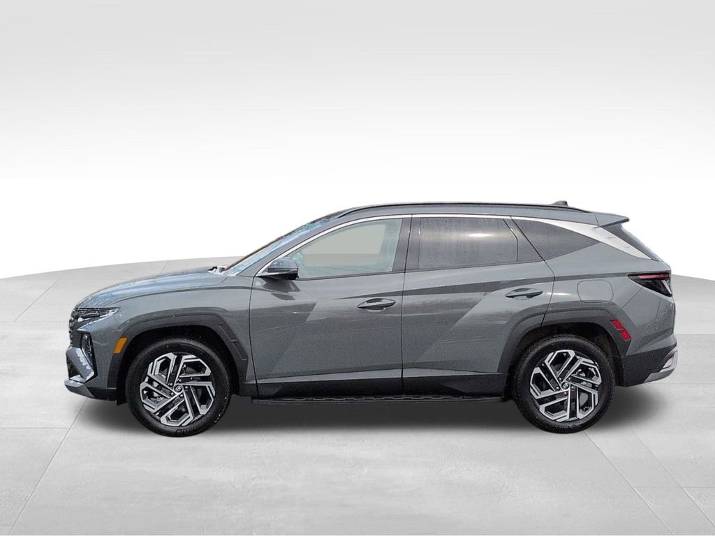 Used 2026 Hyundai Tucson Limited AWD/4WD image 12