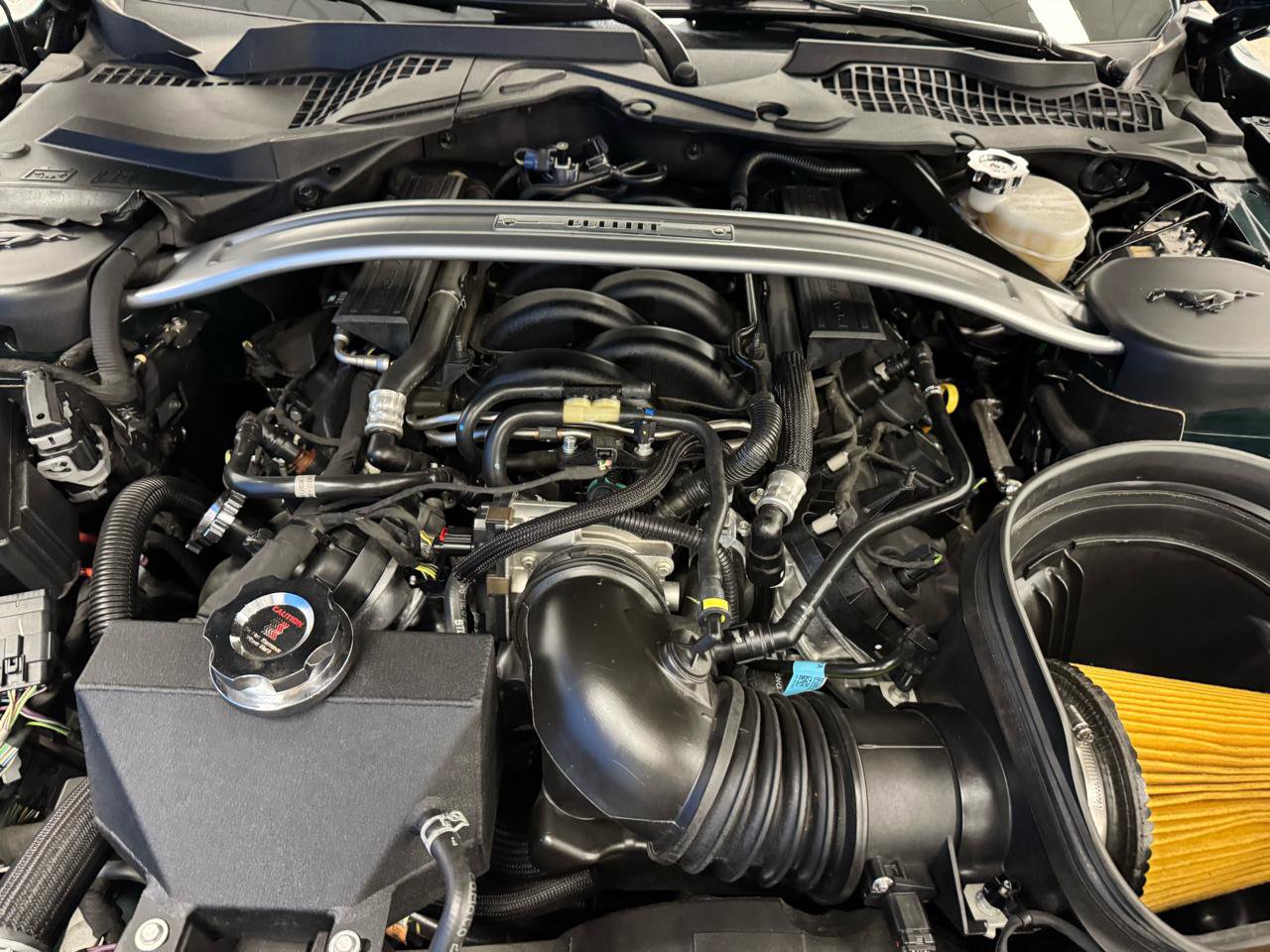 Used 2019 Ford Mustang Bullitt w/ Bullitt Electronics Package RWD image 22