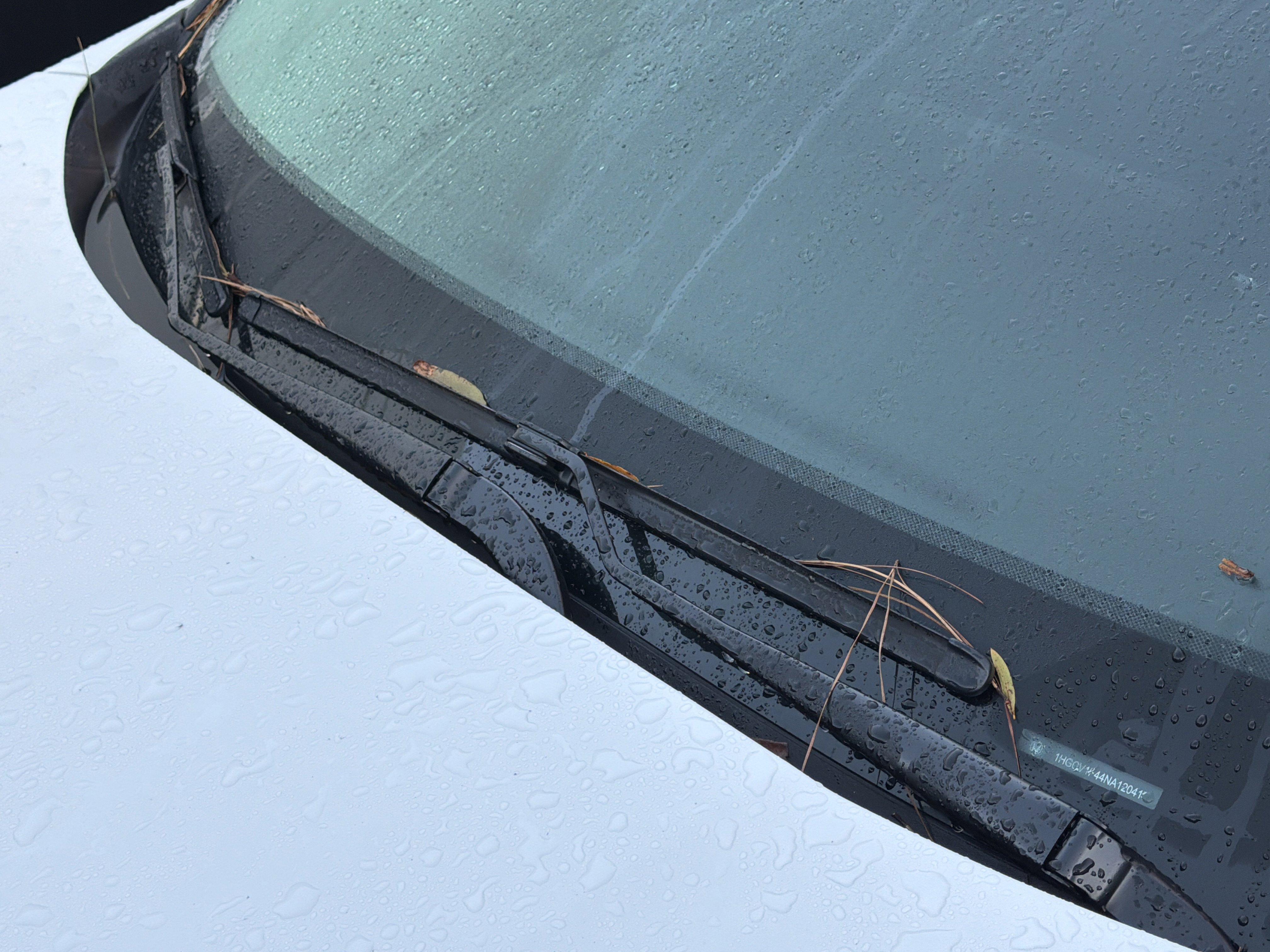 Used 2022 Honda Accord Sport Special Edition image 12