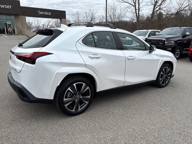Used 2025 Lexus UX 300h AWD w/ Cold Area Package image 5