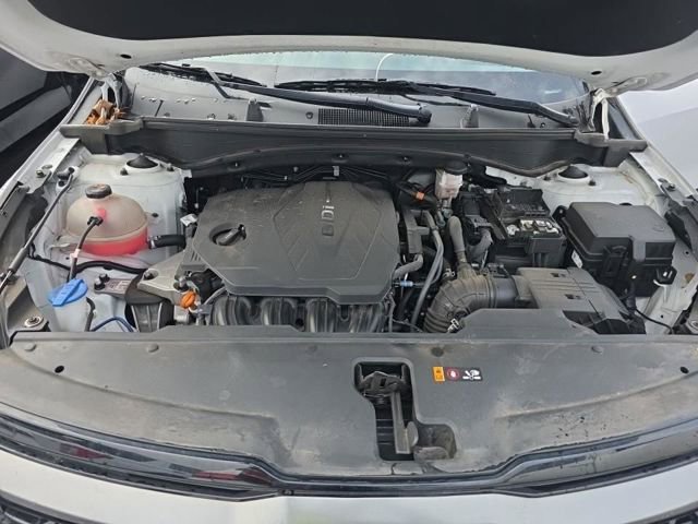 Used 2024 Kia Sportage X-Line w/ X-Line Premium Package image 11