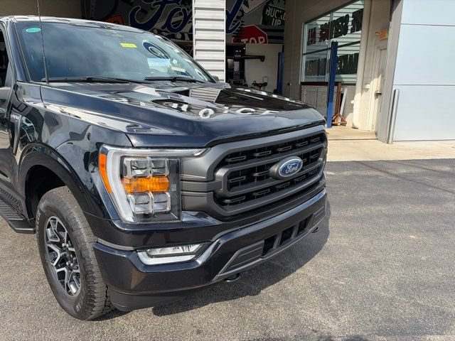 Used 2023 Ford F150 XLT w/ Equipment Group 302A High AWD/4WD image 5