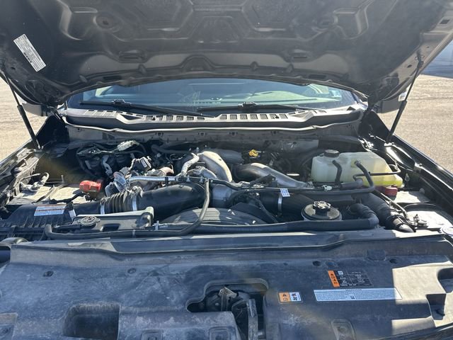 Used 2025 Ford F250 XLT image 19