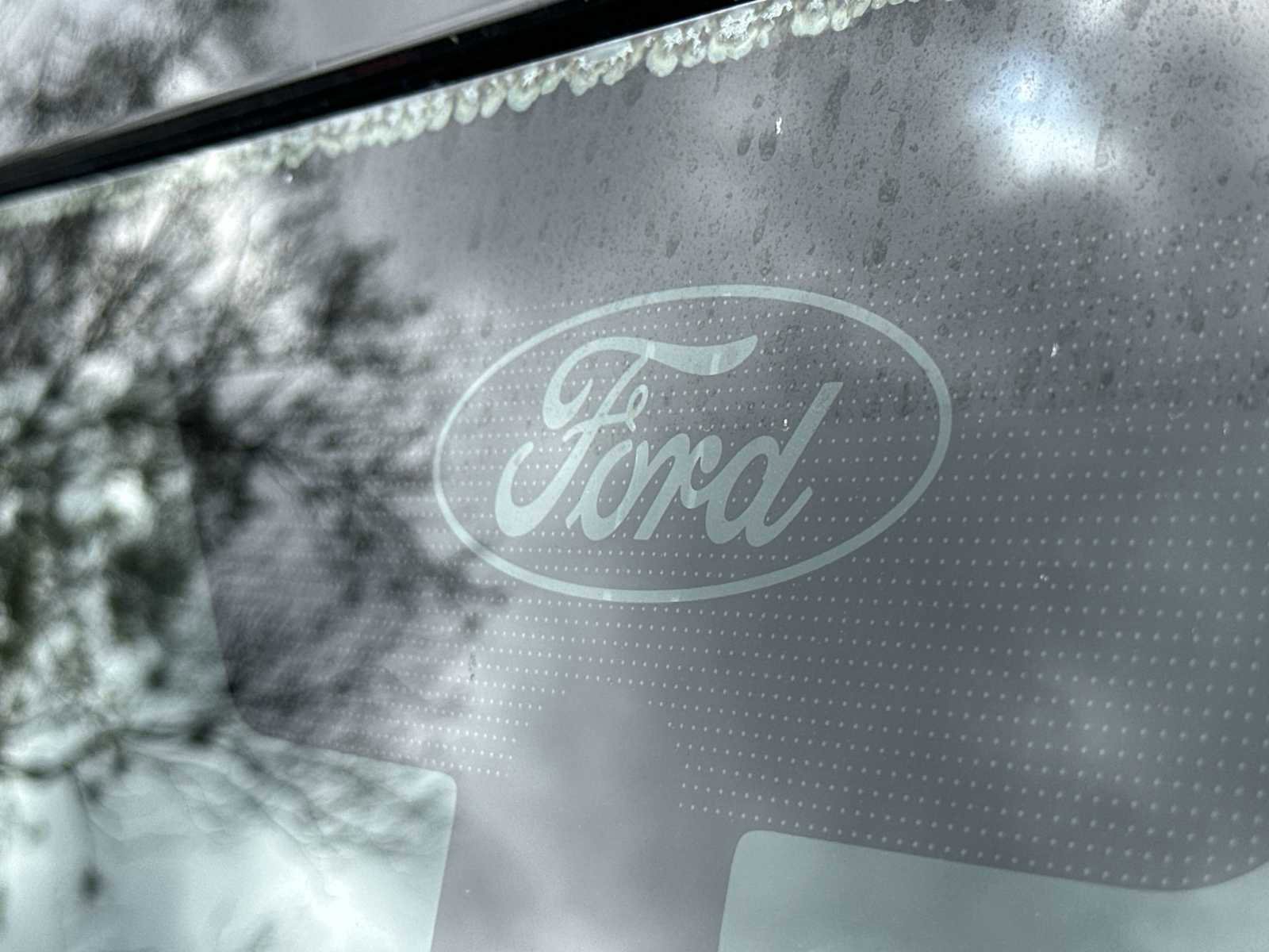 Used 2017 Ford Mustang Premium image 10