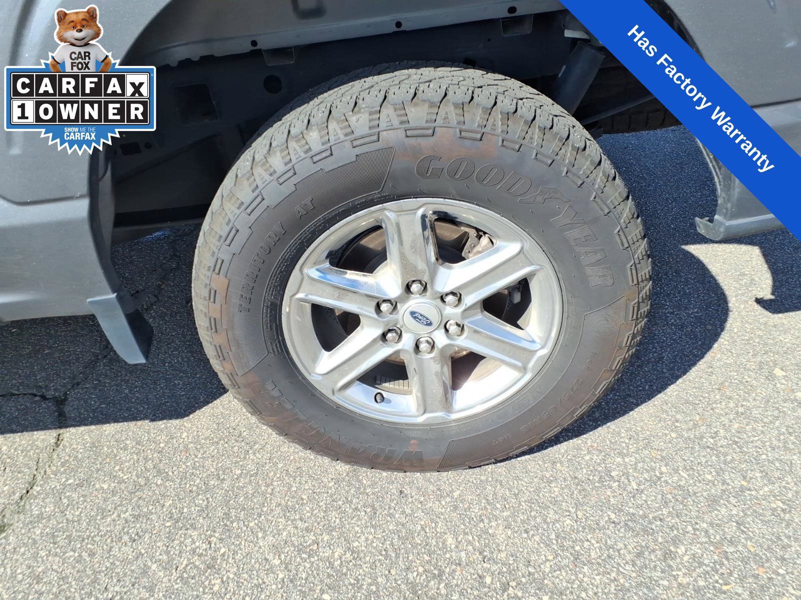 Used 2025 Ford F150 XLT w/ Equipment Group 301A Standard AWD/4WD image 12
