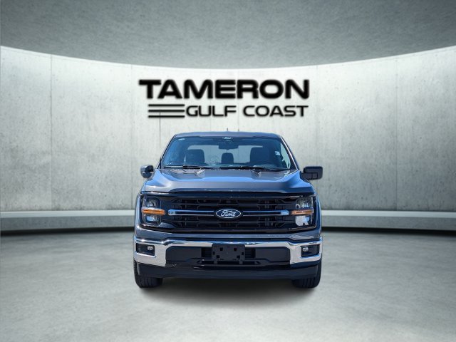 Used 2025 Ford F150 XLT w/ Equipment Group 301A Standard RWD image 9