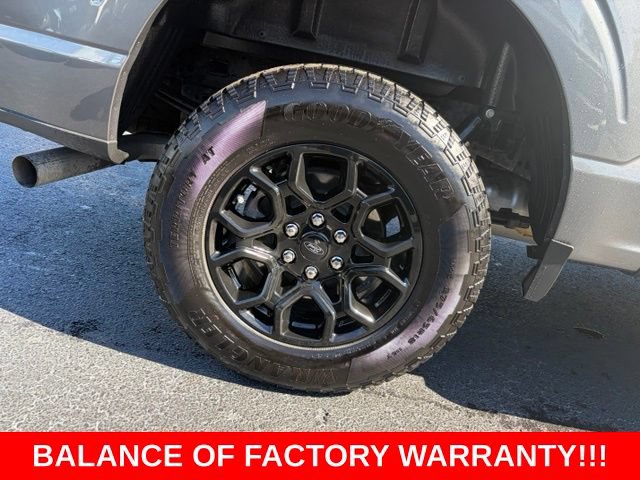 Used 2025 Ford F150 XLT w/ Equipment Group 302A MID AWD/4WD image 7