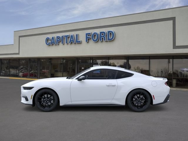 New 2026 Ford Mustang Coupe w/ Mustang Nite Pony Package RWD image 3