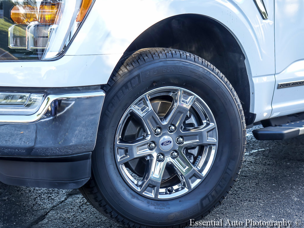 Used 2023 Ford F150 XLT w/ Equipment Group 302A High AWD/4WD image 5