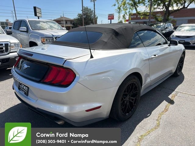 Used 2019 Ford Mustang Premium RWD image 5