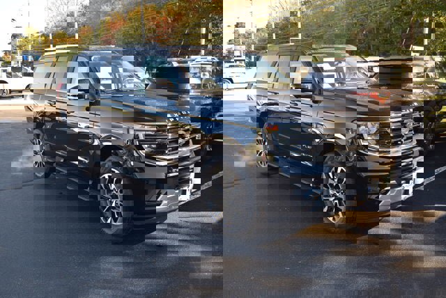 New 2025 Ford Expedition Max Platinum