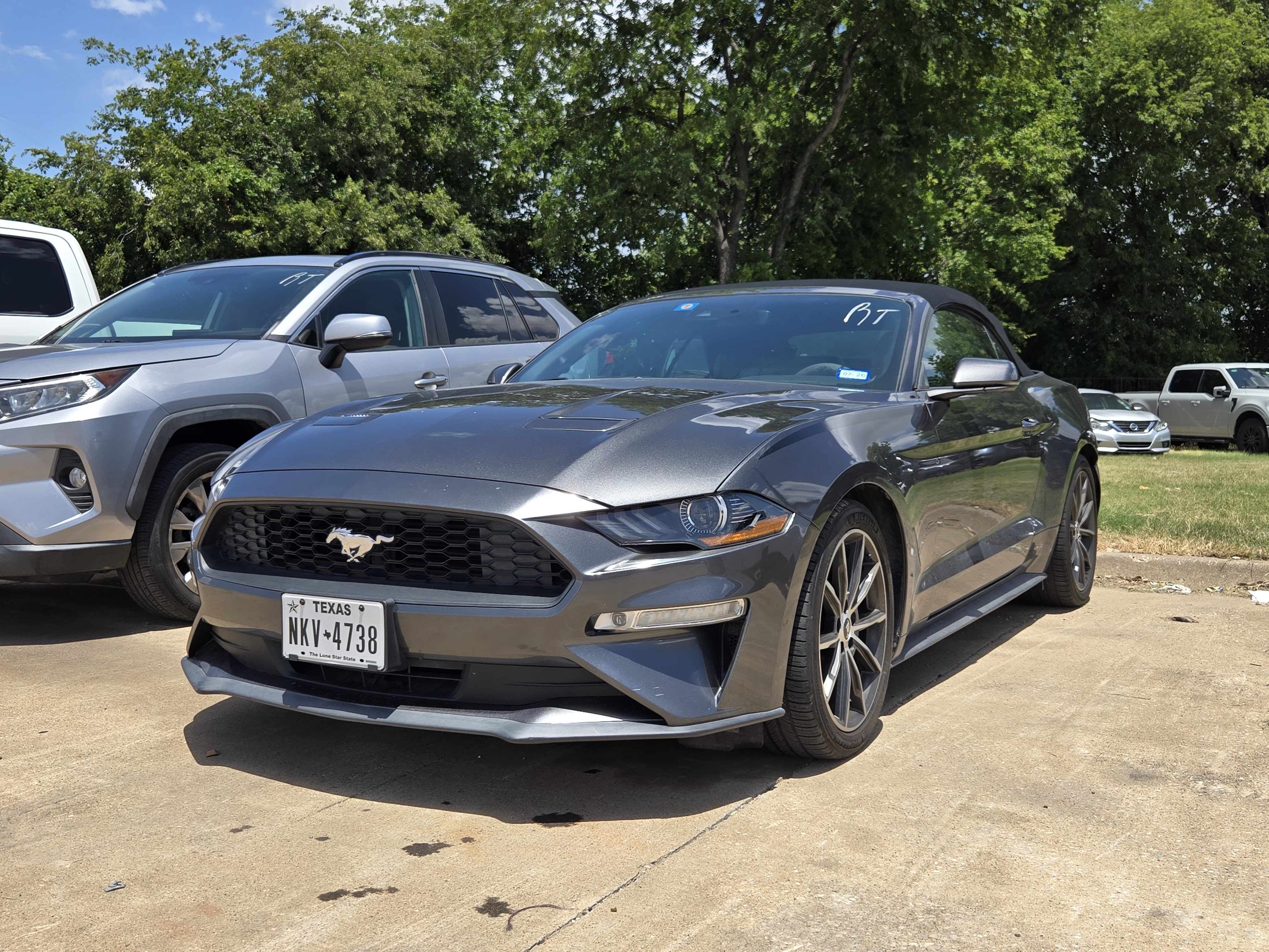 Certified 2019 Ford Mustang Premium w/ Equipment Group 201A RWD image 3