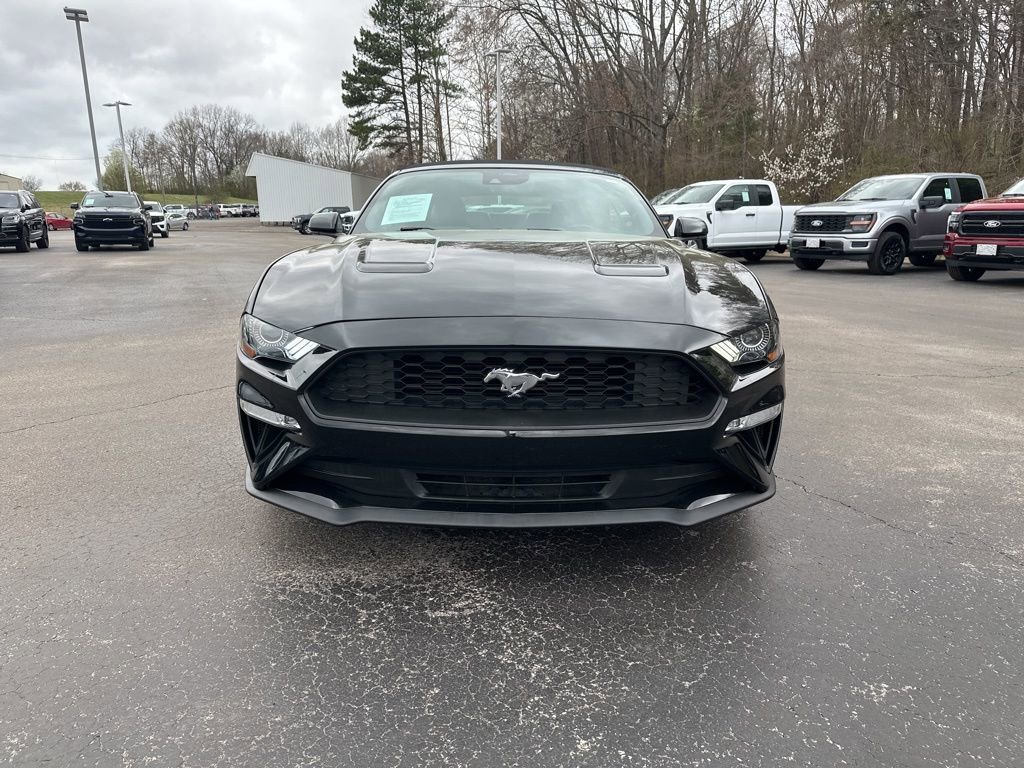 Used 2021 Ford Mustang Premium image 8