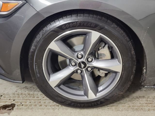 Used 2015 Ford Mustang Convertible w/ Equipment Group 051A image 10