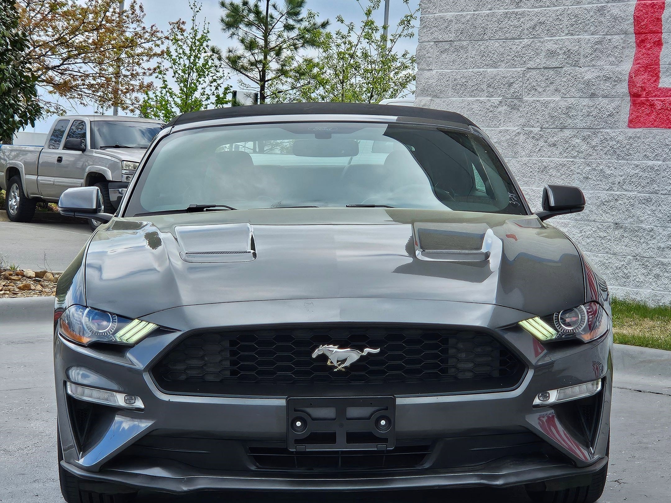 Used 2019 Ford Mustang Premium image 2