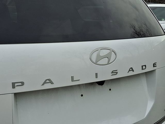 New 2026 Hyundai Palisade Calligraphy image 24