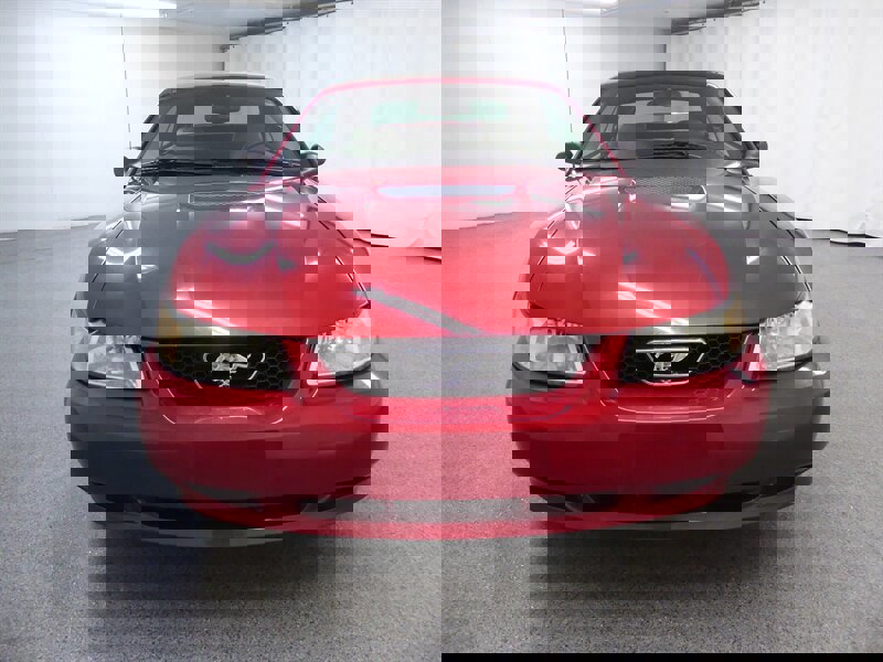 Used 2000 Ford Mustang GT image 10