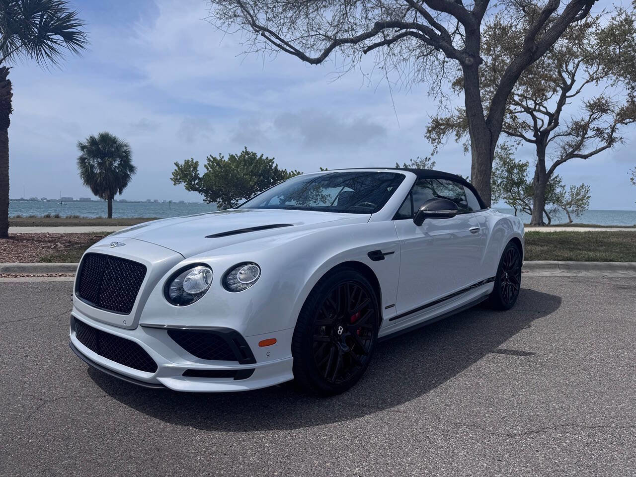 Used 2018 Bentley Continental GT Supersports image 20