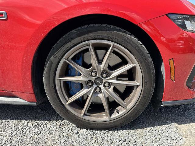 Certified 2024 Ford Mustang GT Premium image 4