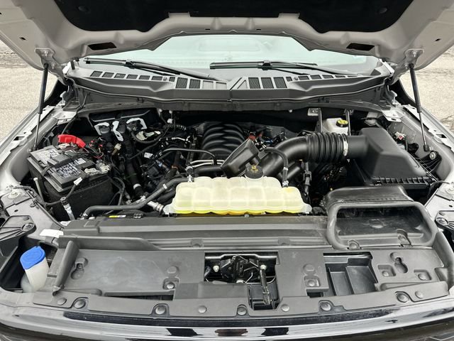 Used 2025 Ford F150 XLT w/ Equipment Group 301A Standard image 19