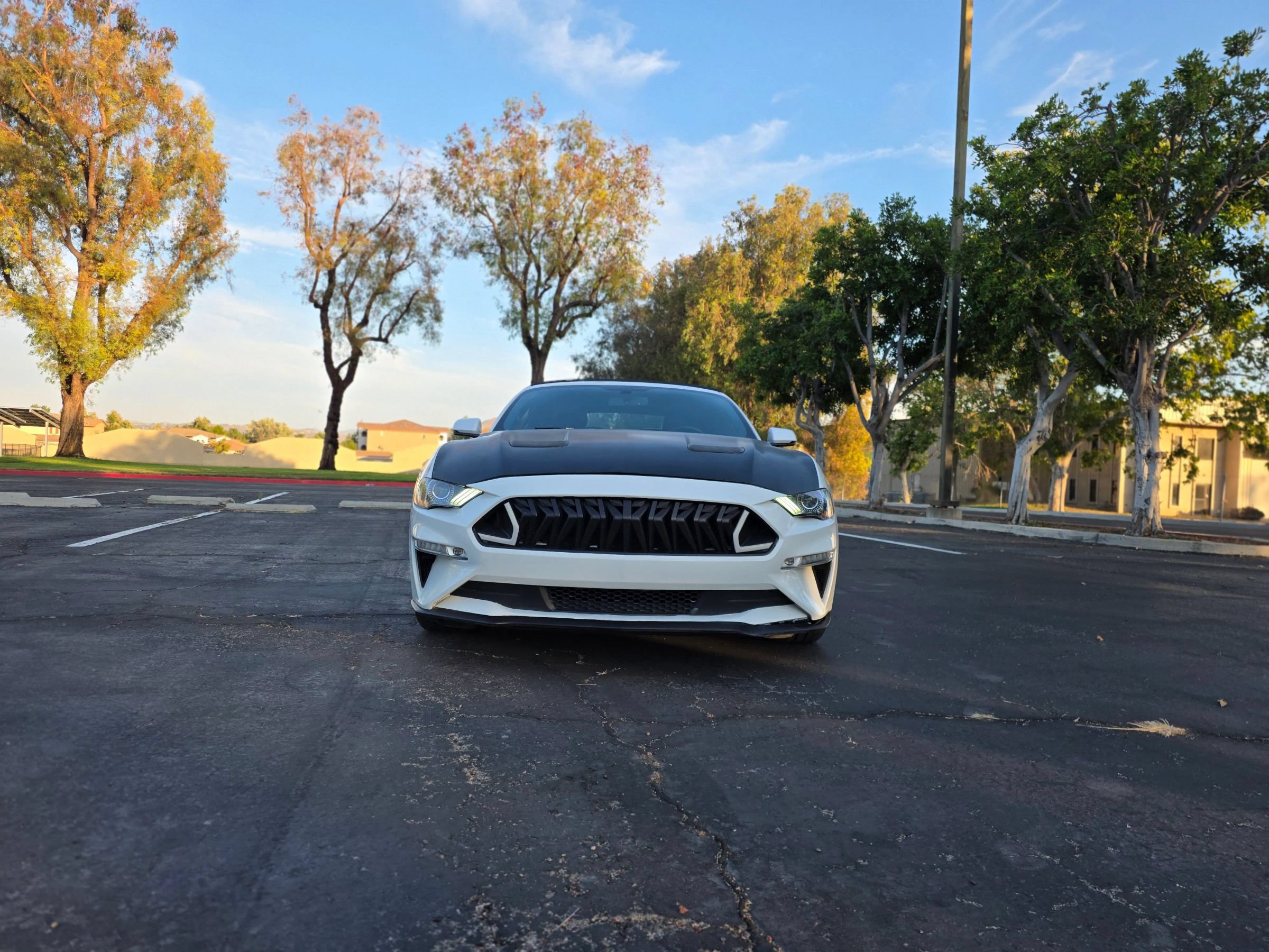Used 2019 Ford Mustang GT Premium RWD image 8