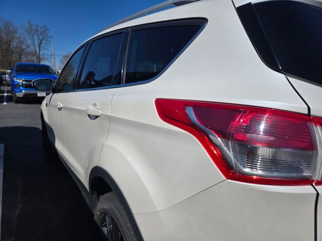 Used 2014 Ford Escape Titanium image 3