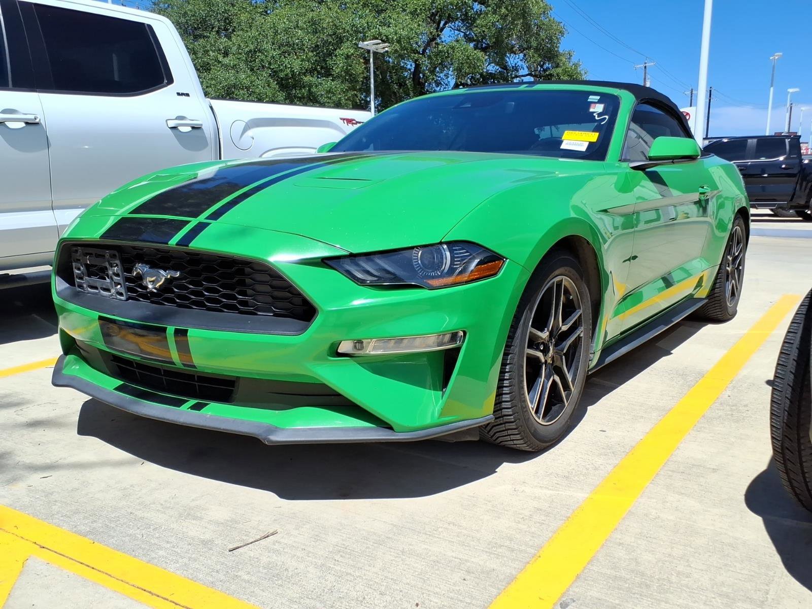 Used 2019 Ford Mustang Premium w/ Equipment Group 201A RWD image 1