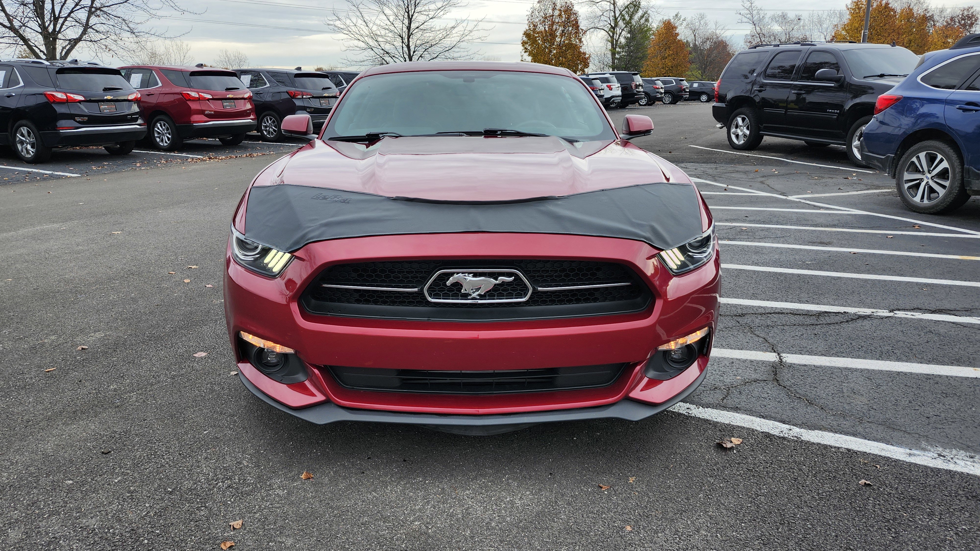 Used 2015 Ford Mustang Premium w/ Equipment Group 201A image 14